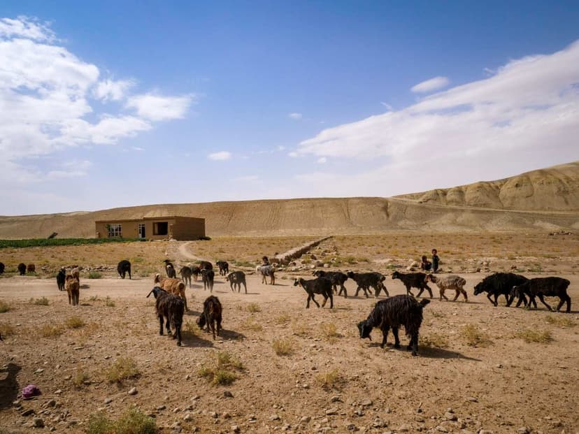 The Central Route Afghanistan gallery image 5
